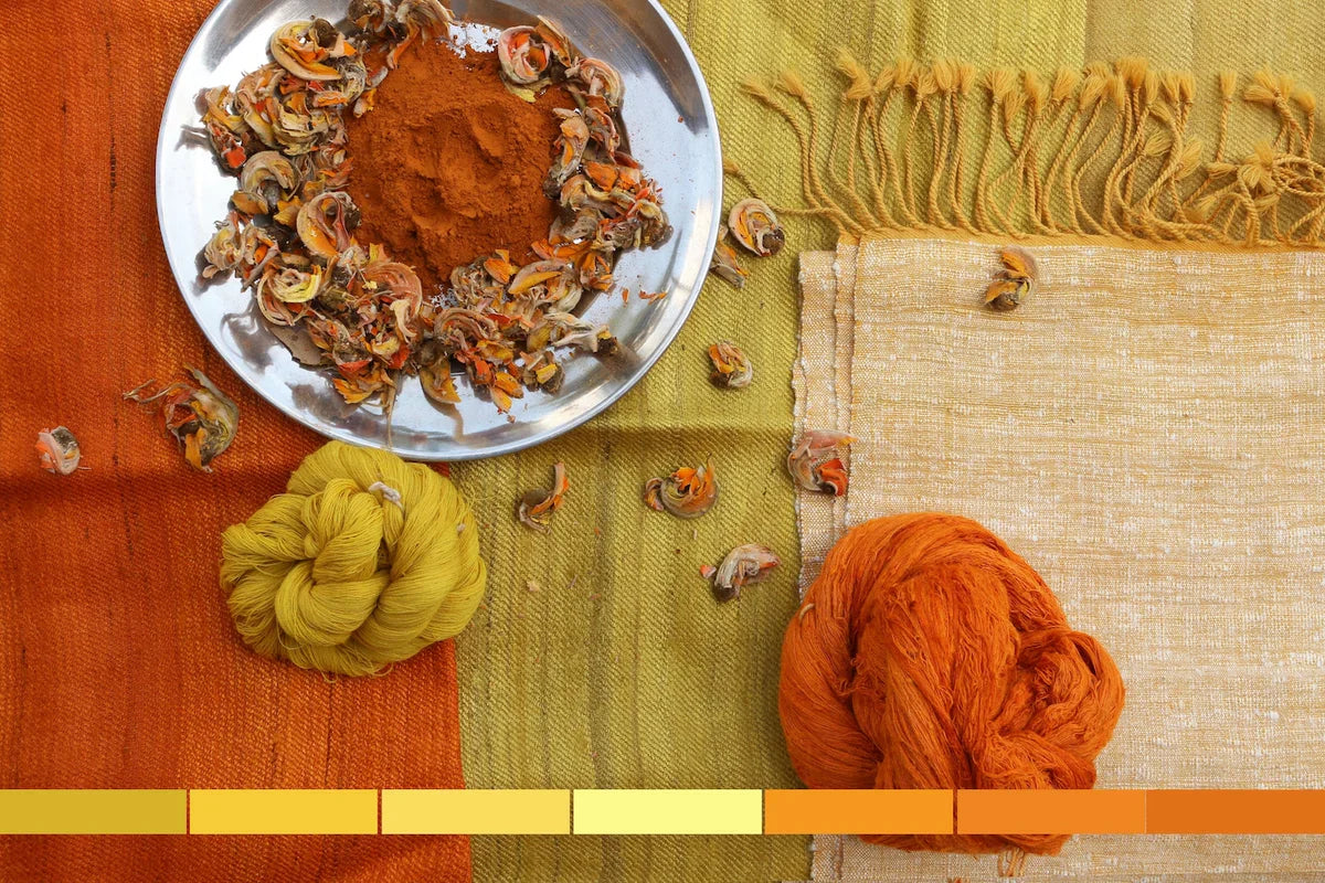 The Safeera Palette: Colours Grown from Earth