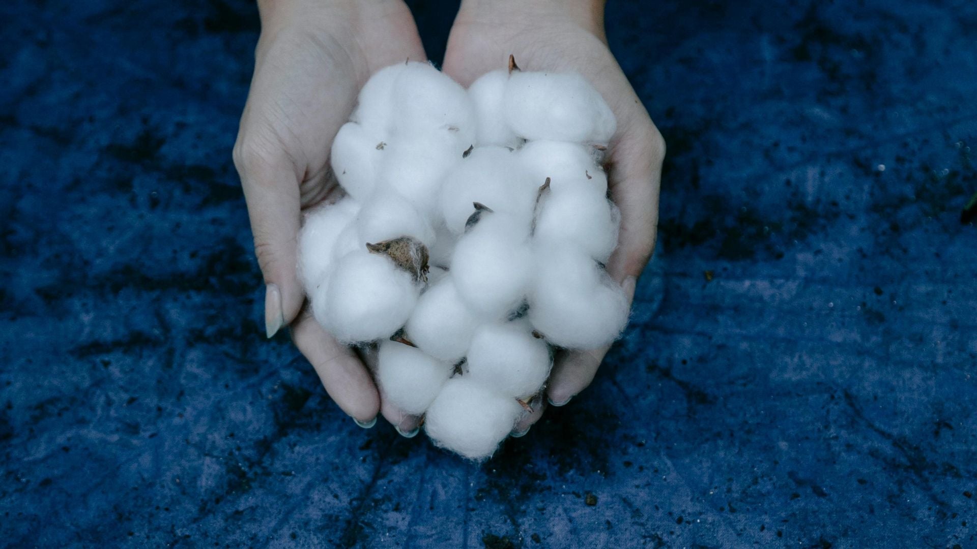 Cotton: A Timeless Commodity in a Fast-Fashion World - SAFEERA